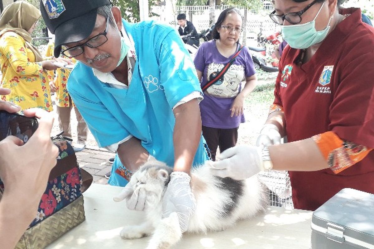 Suku Dinas Ketahanan Pangan, Kelautan dan Pertanian (KPKP) Jakarta Barat melakukan vaksinasi rabies pada hewan piaraan warga di RPTRA Meruya Selatan, Kembangan, Jakarta Barat pada Kamis (4/10/2018)