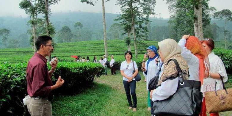 Menikmati kebun teh Pagilaran di Batang, Jawa Tengah awal Desember lalu.