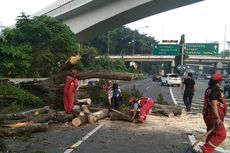 Pohon Tumbang di Tol Japek Arah Jakarta, Lalu Lintas Tersendat 