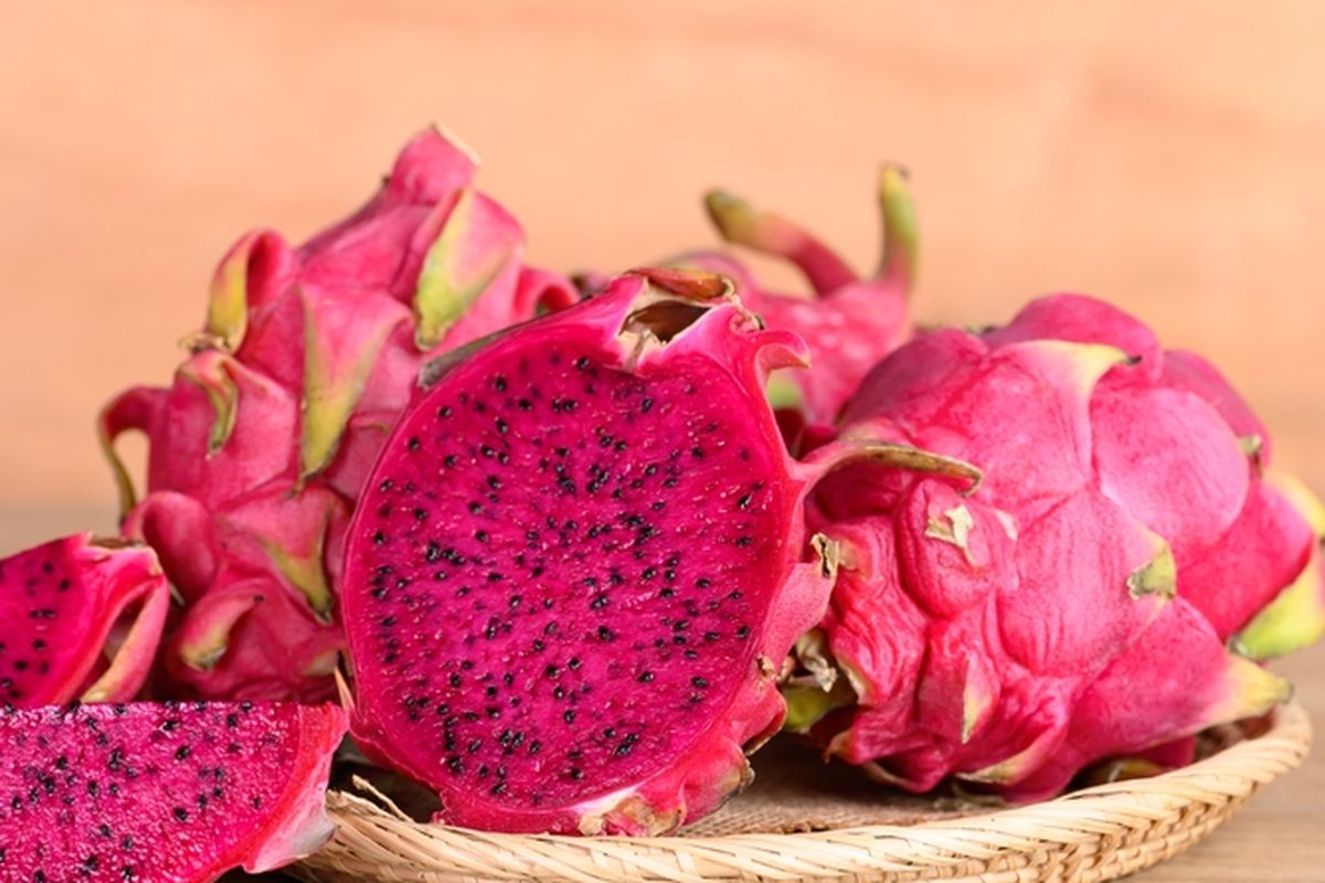 Ilustrasi buah naga.