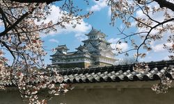 LPDP Buka Beasiswa 'Double Degree' S2 ke Jepang, Ini Syaratnya