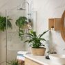 7 Tanaman Hias yang Dapat Mencegah Jamur di Kamar Mandi