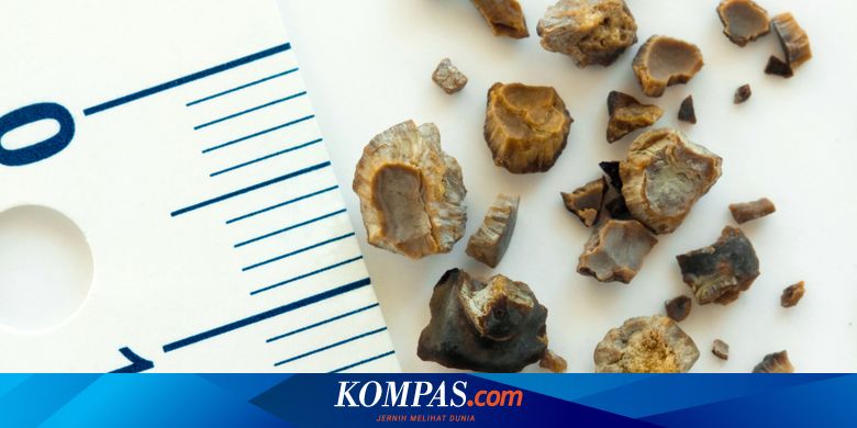 Nyeri Pinggang Seperti Apa Yang Jadi Tanda Batu Ginjal