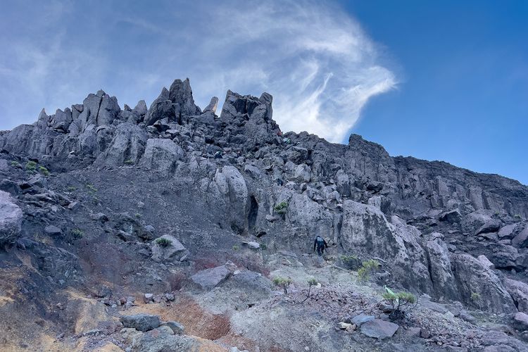 Imbas Karhutla, Jalur Pendakian Gunung Raung via Sumber Wringin Bondowoso Ditutup