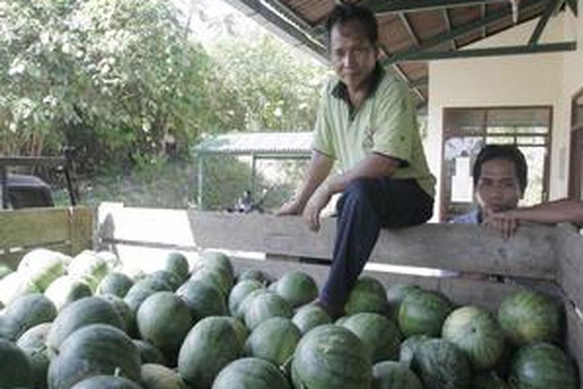 Di tempat ini ada gudang buah khusus buat orangutan dan beruang madu. 