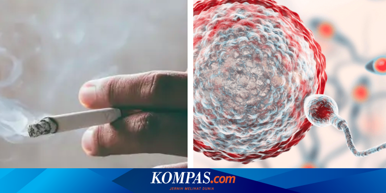 5 Kebiasaan Pria yang Merusak Kualitas Sperma selain Merokok