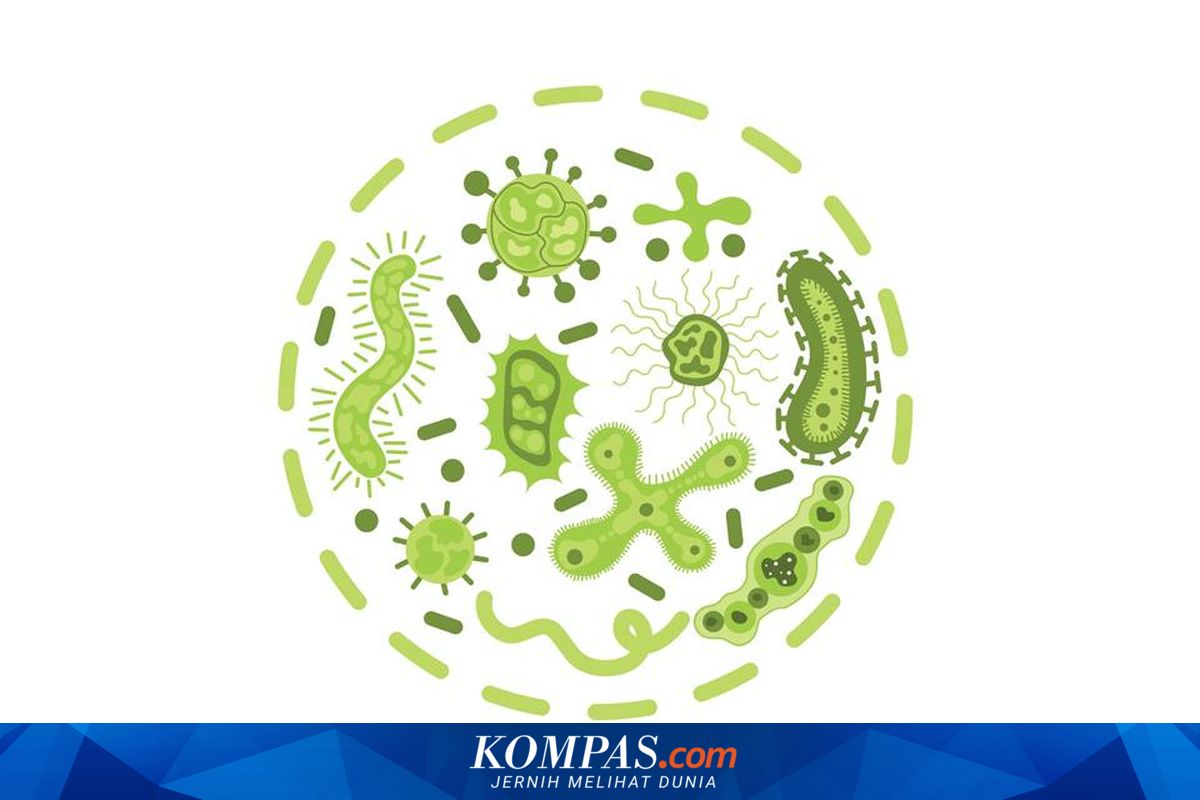 5 Ciri Utama Monera, Salah Satunya Uniseluler