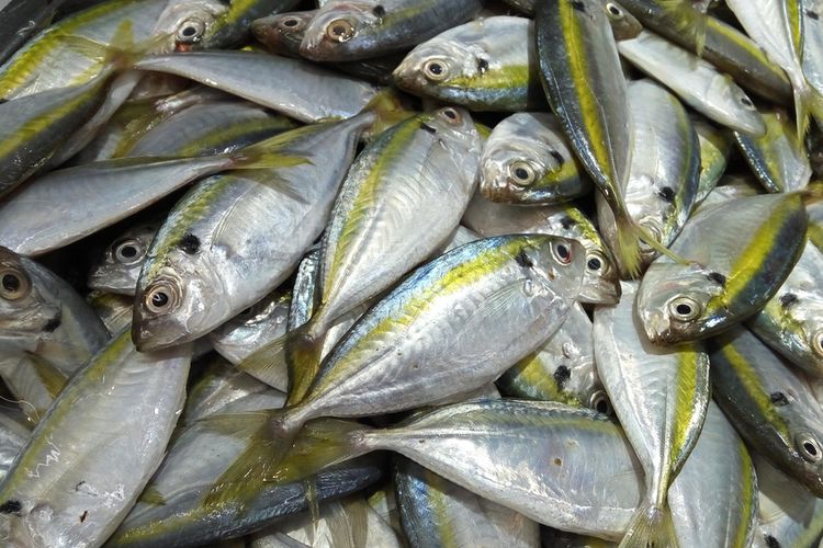 Anak Ikan Kembung Kering