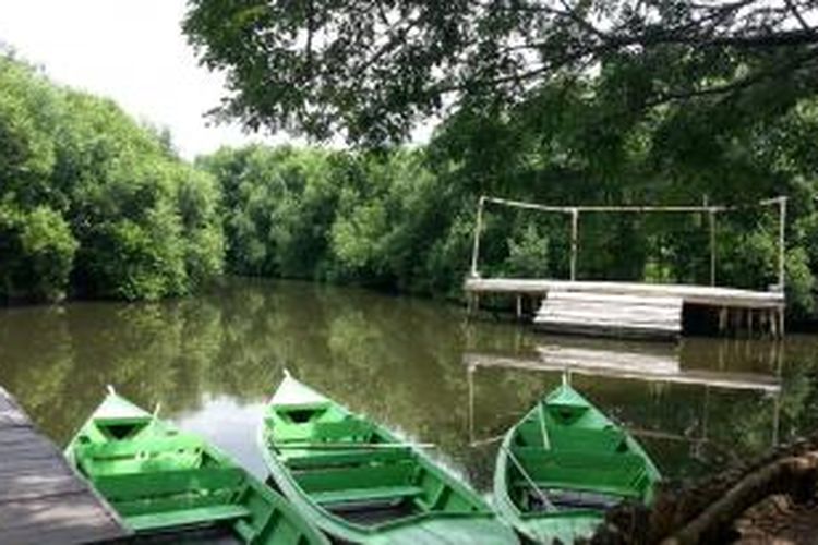 Perahu dayung yang disewakan seharga Rp 100.000 untuk mengitari hutan bakau seluas 30 hektare