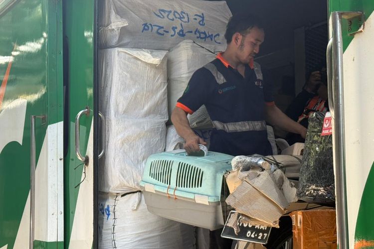 KAI Logistik Catat 13.435 Pengiriman Hewan Peliharaan Saat Mudik Lebaran