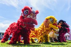 Produsen Barongsai di Pecinan Semarang Kebanjiran Pesanan, Hanya Tidur 1 Jam hingga Tolak Pesanan