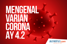 INFOGRAFIK: Mengenal Varian Corona AY 4.2