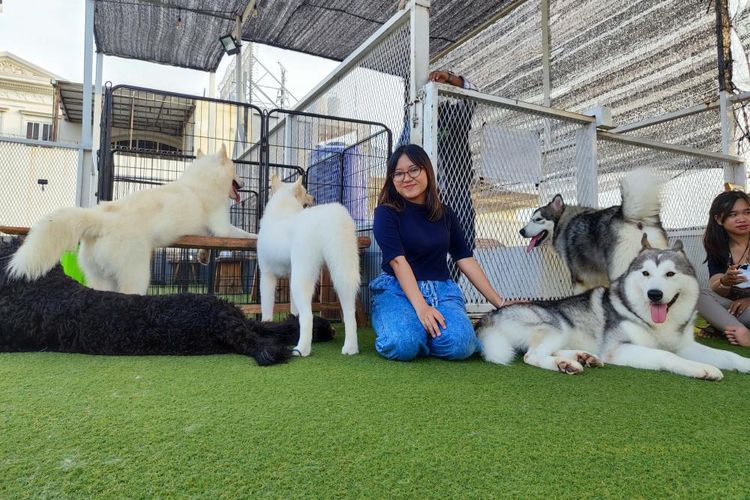 Kafe Dogs Ministry di Pluit, Penjaringan, Jakarta Utara