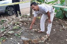 Granat Nanas di Pekarangan Rumah Warga Gunungkidul Diamankan Gegana 