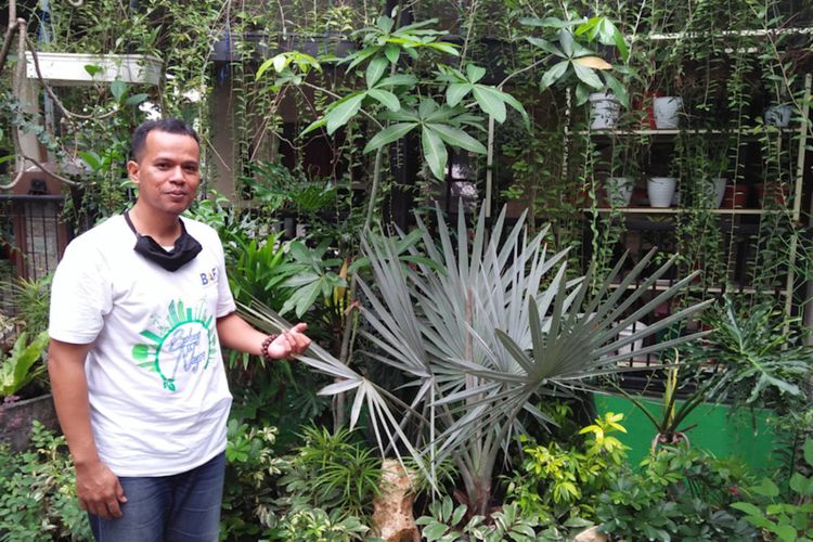 Miftahur Rokhman kini beralih profesi sebagai pembudidaya dan penjual tanaman hias.