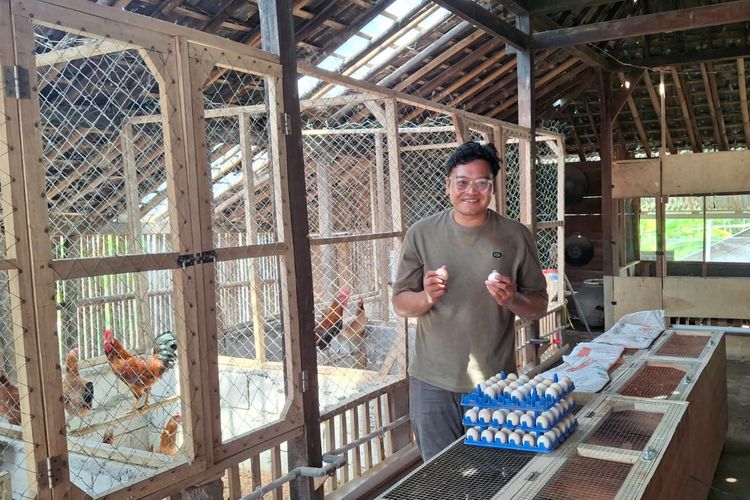 Tips Pelihara Ayam Tanpa Bau di Samping Rumah