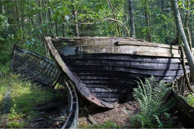 Perahu yang sudah lama ditinggalkan di hutan di luar Mazirbe menceritakan kisah budaya Livonia di bawah pendudukan Soviet. [IMANTSU/GETTY IMAGES VIA BBC INDONESIA]