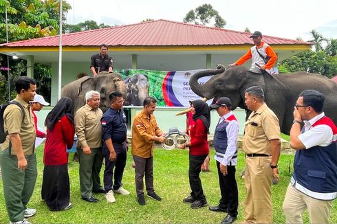 Pantau Pergerakan Gajah Sumatera, HK Siapkan GPS Collar Rp 451,6 Juta