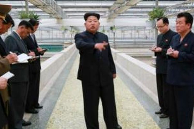 Pemimpin Korea Utara Kim Jong Un merasa tak puas dengan kinerja pengelola sebuah pusat pengembangbiakan kura-kura di pinggiran kota Pyongyang.