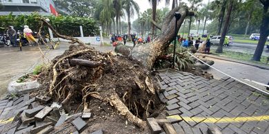 Doa Saat Angin Kencang Sesuai Sunnah Rasulullah, Mohon Kebaikan dan Perlindungan Allah