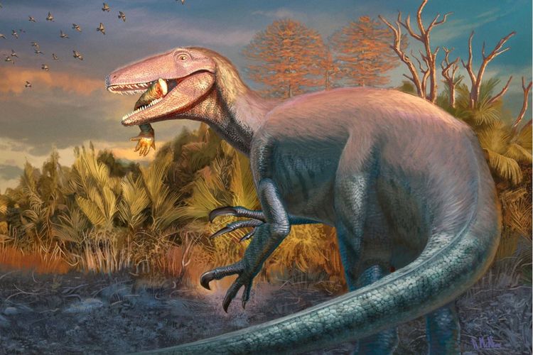 Rekonstruksi megaraptor Joaquinraptor casali yang baru ditemukan dari Argentina dengan lengan buaya era Kapur di mulutnya.