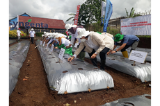 Inovasi Teknologi dan Komunikasi Digital jadi Kunci Syngenta Tingkatkan Produktivitas Petani di Masa Pandemi