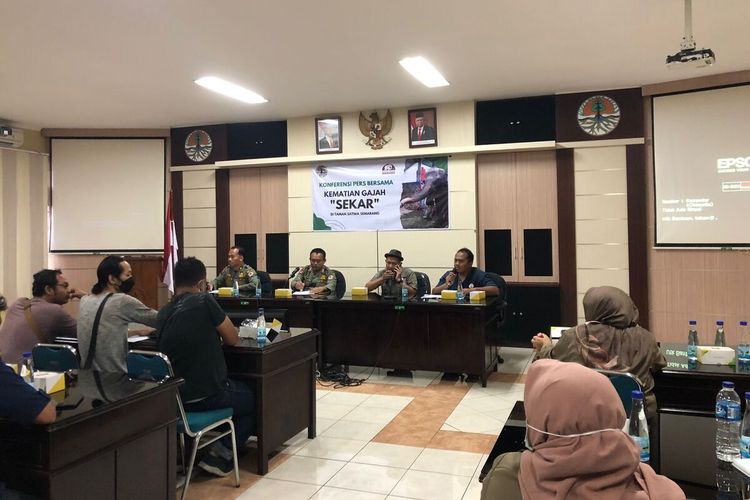 Konferensi Pers Kematian Gajah Sekar Di Taman Satwa Semarang di Kantor Balai Konservasi Sumber Daya Alam (BKSDA) Jateng, Senin (20/2/2023).