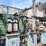 Kebakaran Rumah di Pulogadung yang Tewaskan Satu Penghuni Diduga akibat Korsleting