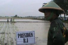 Batal ke Sawah, Jokowi Kecewakan Warga yang Menanti di Tengah Hujan