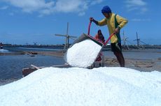 Panen Perdana, Harga Garam Petani di Pamekasan Anjlok