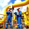 PGN Subholding Gas Pertamina Garap Proyek Biomethane
