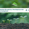 Pengertian Tumbuhan Bryophyta, Pteridophyta dan Spermatophyta, serta Ciri-cirinya
