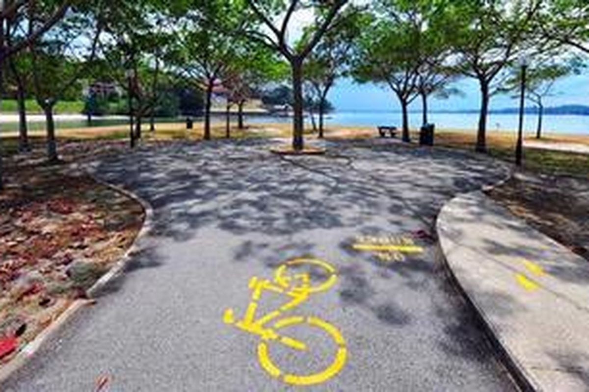 Salah satu jalur sepeda di Singapura. Pemerintah Singapura membangun jalur sepeda di berbagai wilayah agar sepeda menjadi alternatif transportasi
