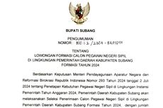 Seleksi CPNS 2024 Pemkab Subang, Cek Daftar Formasi yang Dibutuhkan