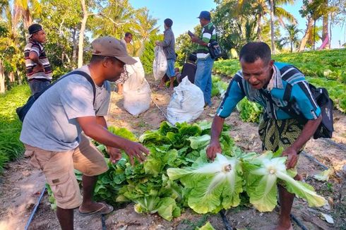 Kisah Warga Desa Pana di NTT Alami Krisis Air Bersih, Kini Teraliri Harapan Pun Bersemi