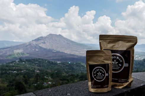 Kintamani Coffe Festival, Saatnya Kopi Jadi Daya Tarik Turis ke Bali