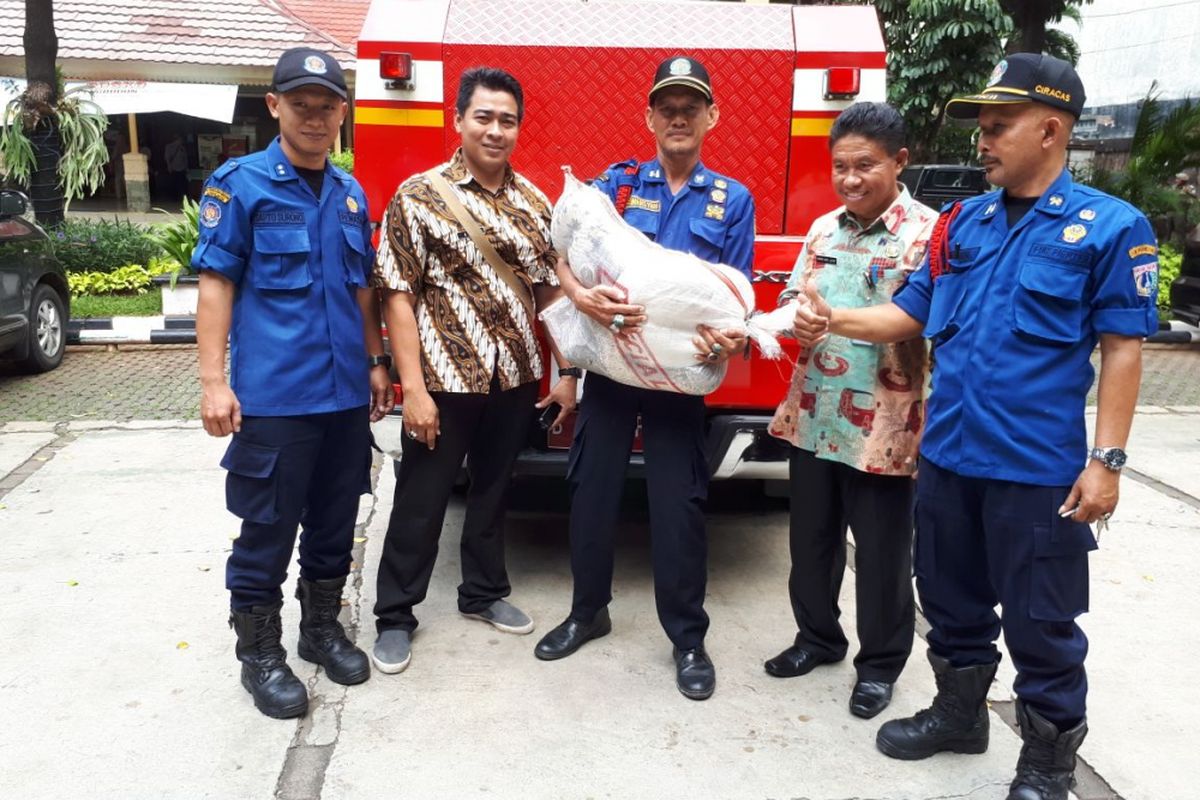 Ular piton sepanjang 7 meter ditemukan PPSU di gorong-gorong Rusun Kebon Kacang, Jakarta Pusat, Kamis (12/4/2018). 