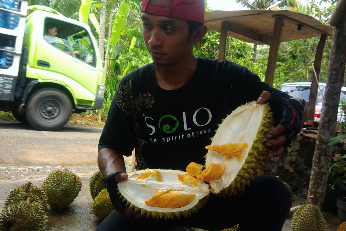 Andriana memperlihatkan Durian Kencono Rukmi jenis Lokal asli Gunungkidul