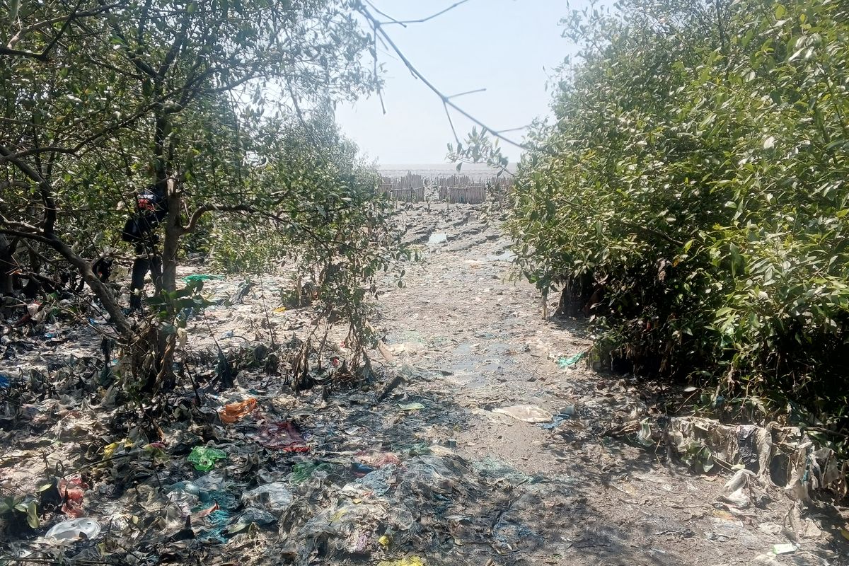 Anak aliran sungai di hutan mangrove kawasan pesisir Surabaya timur yang sudah tertimbun sampah 'kiriman' pada Selasa (29/9/2026).