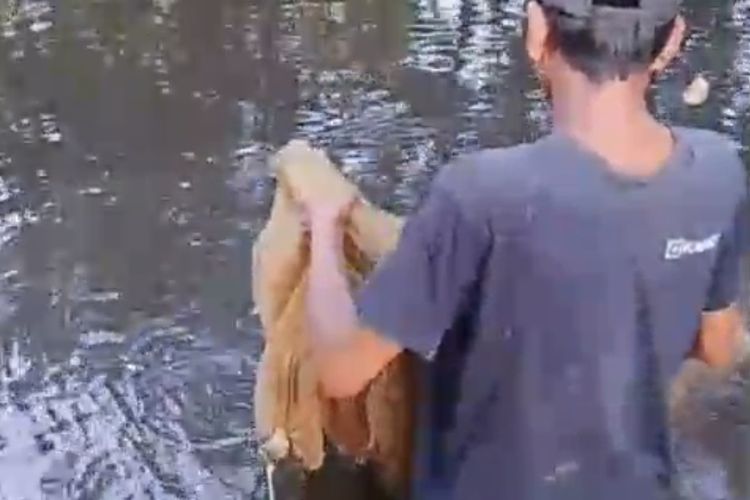 Nasib Malang Pencari Ikan di Sungai Tercemar di Bengkulu Selatan: Bagaimana Anak Kami Sekolah dan Kuliah
