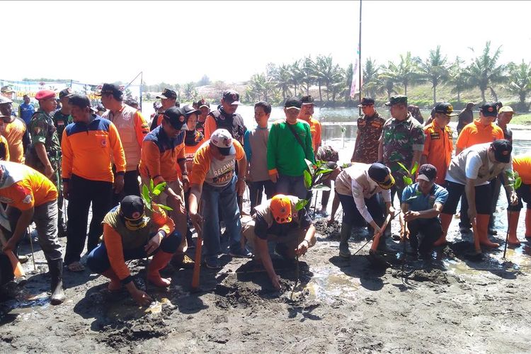 Penanaman mangrove di Pantai Laguna Lembupurwo, Kecamatan Mirit, Kabupaten Kebumen, Jawa Tengah, dalam rangkaian Destana Tsunami 2019, Selasa (40/7/2019).