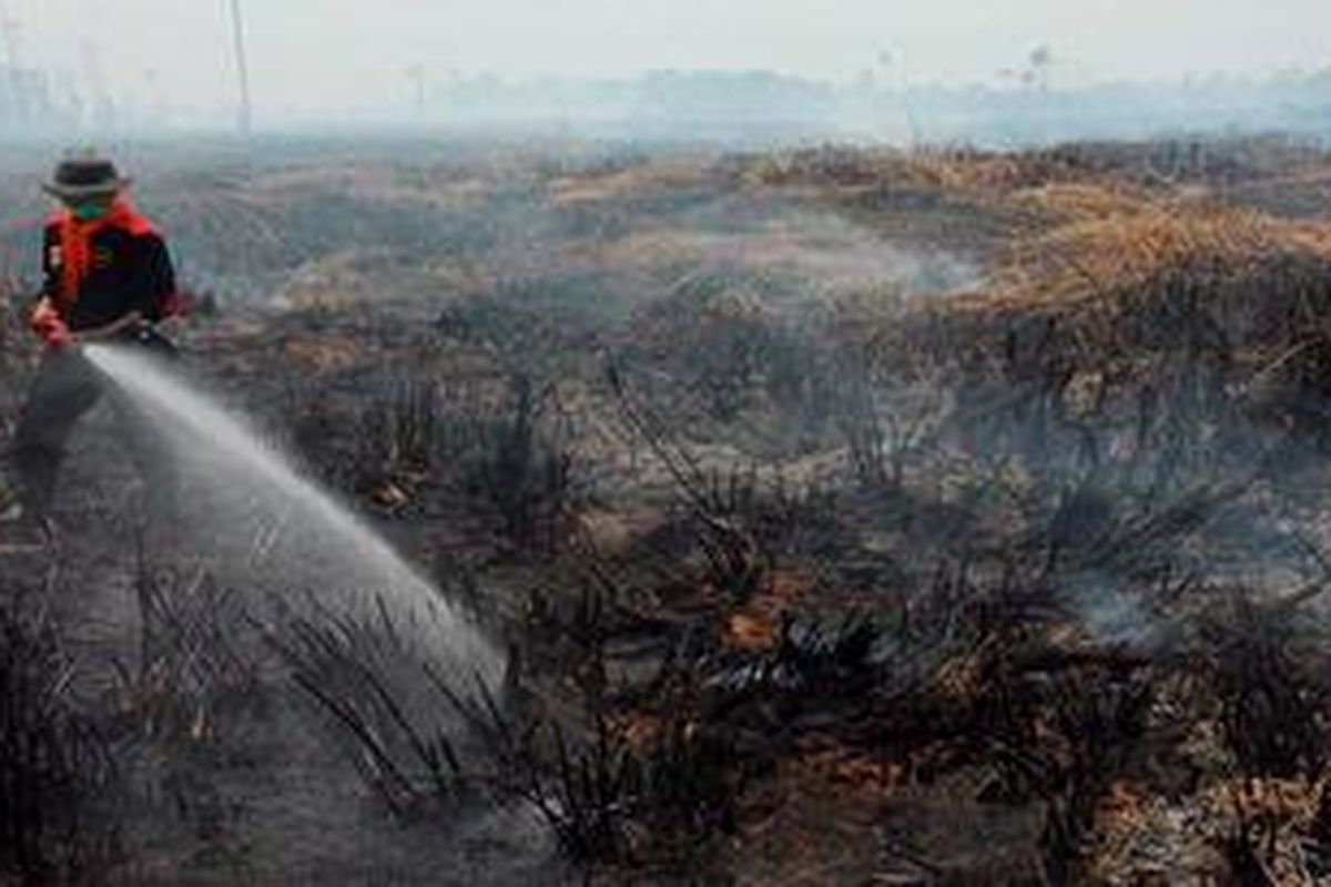 Ilustrasi. Kebakaran lahan gambut. 