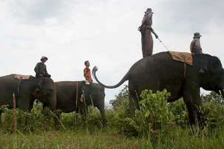 Patroli mencegah konflik gajah dengan manusia di Taman Nasional Way Kambas, Lampung Timur.