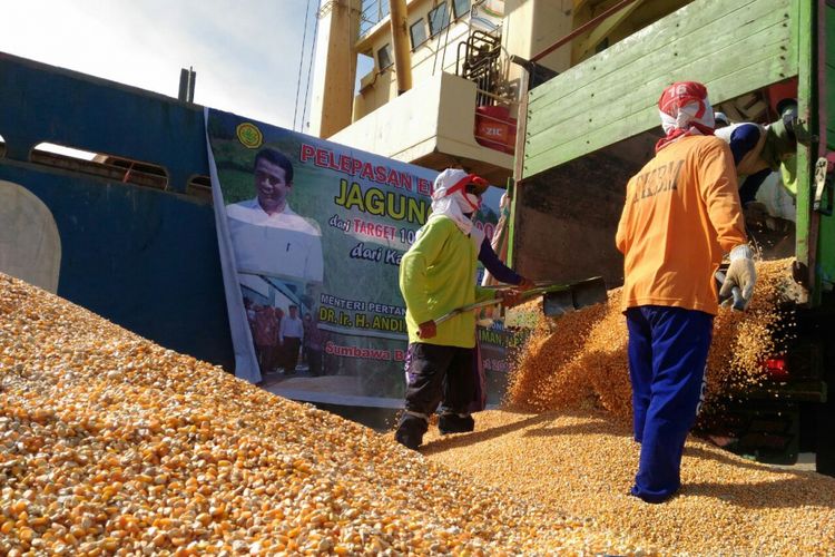 Buruh di Pelabuhan Badas, Sumbawa, memindahkan jagung pipilan dari truk untuk diangkut ke kapal, Selasa (20/3/2018). Jagung tersebut akan diekspor ke Filipina.