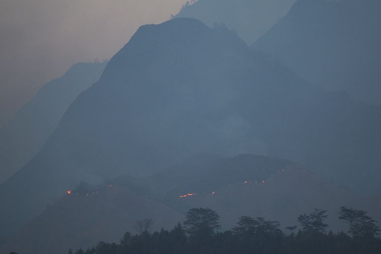 Tersisa 1 Titik Api, Total 170 Hektare Lahan Tahura Raden Soerjo di Mojokerto Terbakar