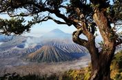 Libur Lebaran 2024, Lebih dari 24.000 Orang Kunjungi Gunung Bromo
