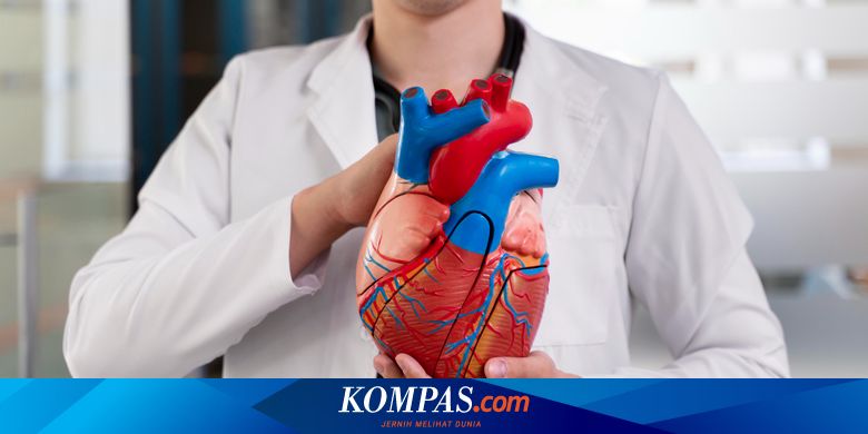 Atrial Fibrilasi, Gangguan Irama Jantung yang Bisa Picu Strok Mendadak