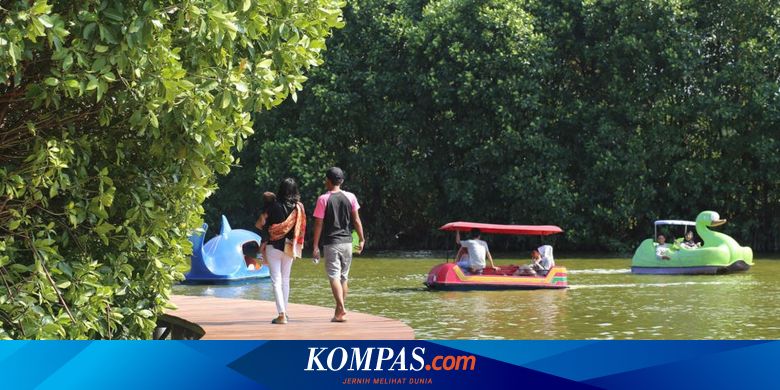 6 Aktivitas Menarik Saat Wisata ke Grand Maerakaca, Jelajah Hutan Mangrove - Vimarsana News