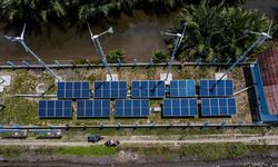 Kapasitas Energi Terbarukan Naik Tajam, tapi Belum Cukup untuk 2030
