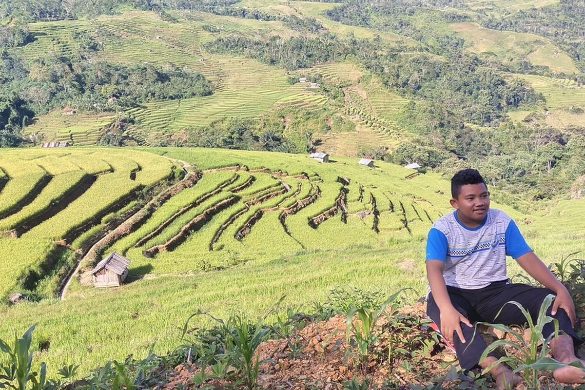 Manggarai Timur, Nusa Tenggara Timur terkenal dengan areal persawahan Terasering dikerjakan para petani. Satu dari sekian persawahan terasering itu adalah Sawah Terasering Ratung di Kecamatan Borong, Minggu, (22/5/2022). (KOMPAS.com/MARKUS MAKUR)